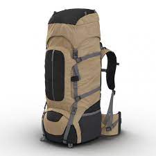 Brown Camping Backpack